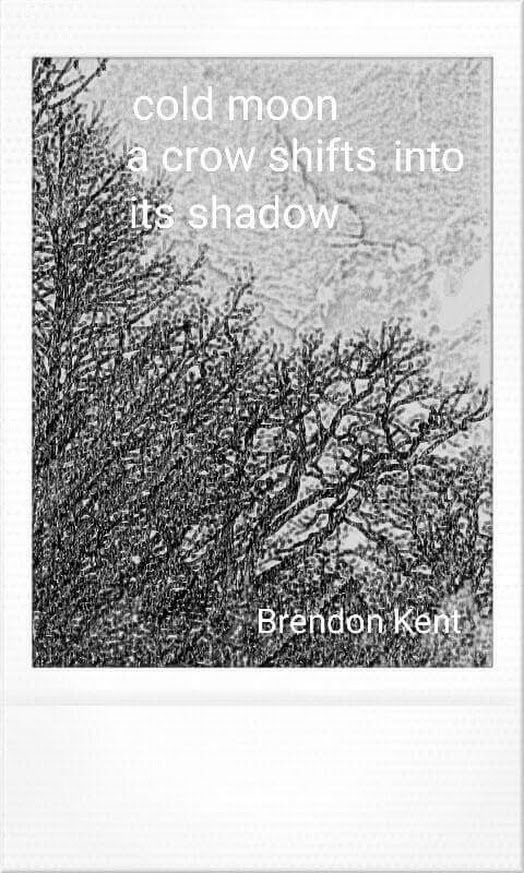 FB_IMG_1463272702429