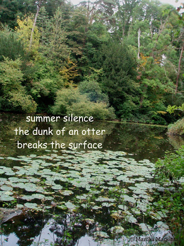 summer+silence
