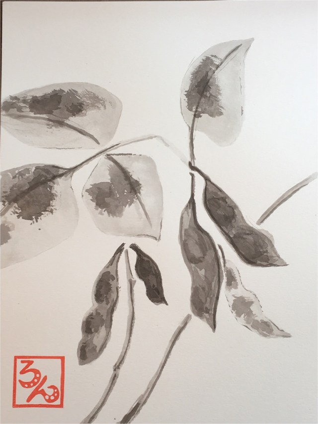 35064618046_6fd40e8fd2_b