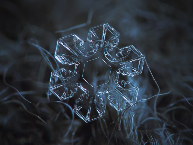 Snowflake_macro-_the_core_(10823897423)