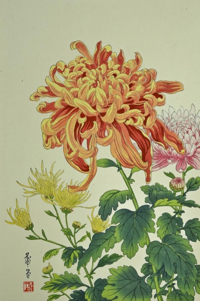Chrysanthemum.haiku.autumn