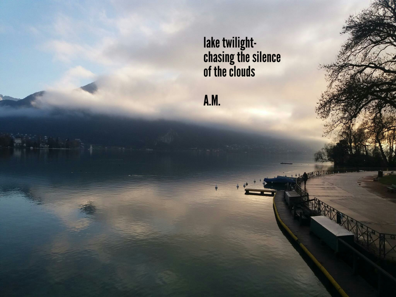 aviary-image-1517294710424