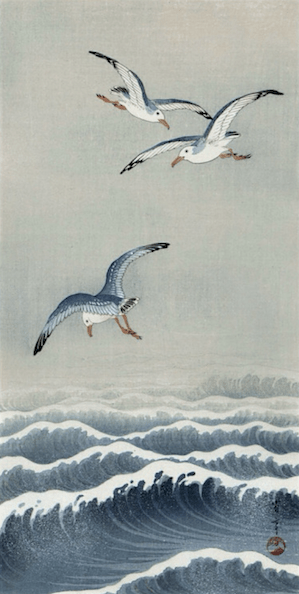 450e90c4d19d0c40c944c316d69ef3b0